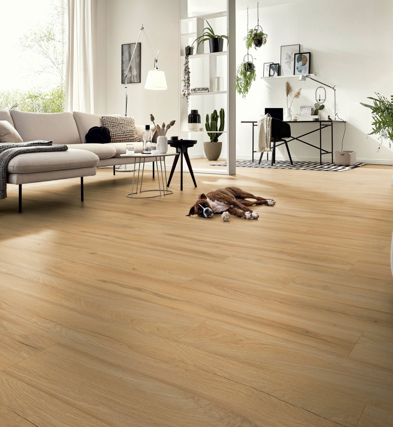 Sol Stratifié Chêne de Ferme Beige | Accueil | Premibel Parquet