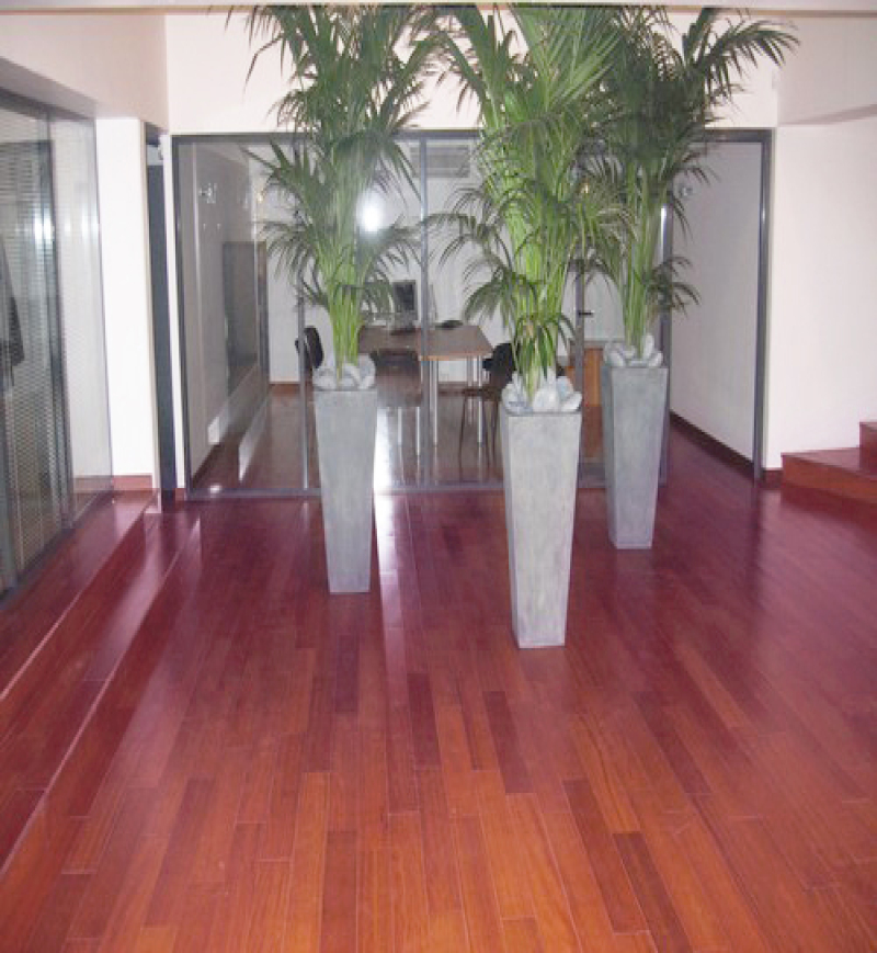 Massaranduba Massif Verni | Parquet massif exotique verni | Premibel Parquet